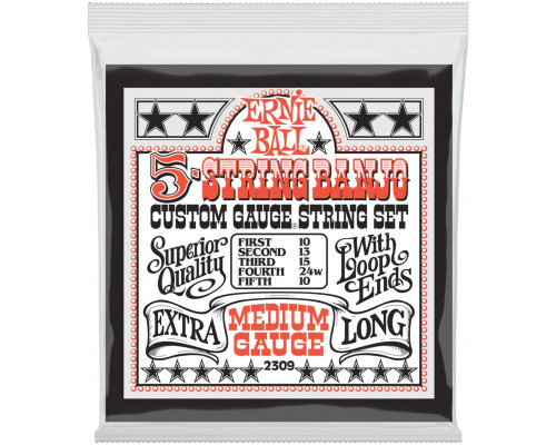 ERNIE BALL 2309 Stainless Steel Medium 10-10 - Струны для банджо