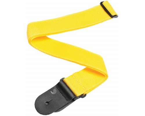 PLANET WAVES PWS 110 - Ремень для гитары