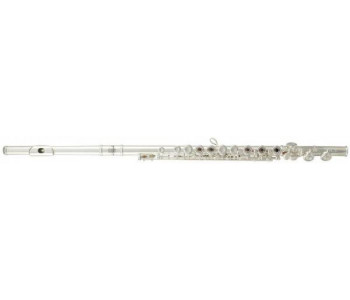 ROY BENSON FL-402 R - Флейта