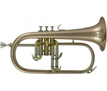 ROY BENSON FH-302 G - Флюгельгорн