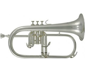 ROY BENSON FH-302 S - Флюгельгорн
