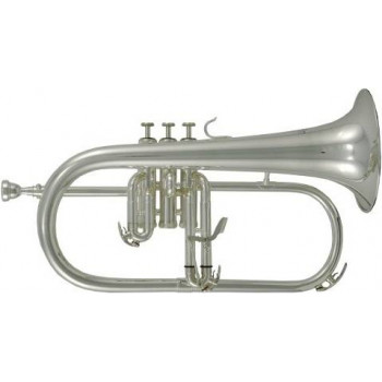 ROY BENSON FH-302 S - Флюгельгорн