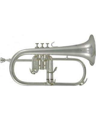 ROY BENSON FH-302 S - Флюгельгорн
