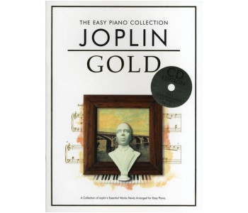 MUSIC SALES CH78782 - Книга с нотами / аккордами для клавишных