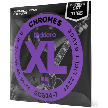 D'ADDARIO ECG24-7 - Струны для электрогитары 7-струнной