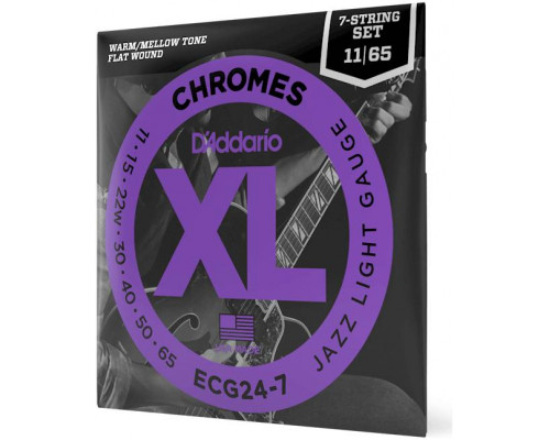 D'ADDARIO ECG24-7 - Струны для электрогитары 7-струнной