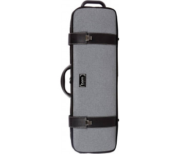 BAM CASES 2001GF Серый - Кейс для скрипки