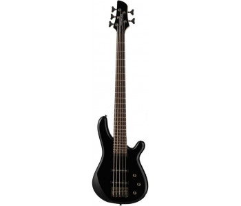 FERNANDES G5X08 BLK - Бас-гитара 5 струн