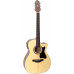 CRAFTER HT-100 CE/OP.N - Гитара электроакустическая
