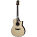 CRAFTER PK G-1000ce - Гитара электроакустическая шестиструнная
