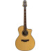 CRAFTER SRP G-36ce - Гитара электроакустическая шестиструнная CRAFTER SRP G-36ce - Гитара электроакустическая шестиструнная