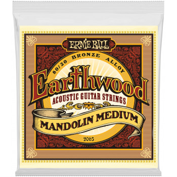 ERNIE BALL 2065 Earthwood 80/20 Bronze Medium 10-36 - Струны для мандолины