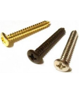 PAXPHIL WO3025 CR CR SCREW(2000PCS), CR - комплект шурупов 2000 шт, хром