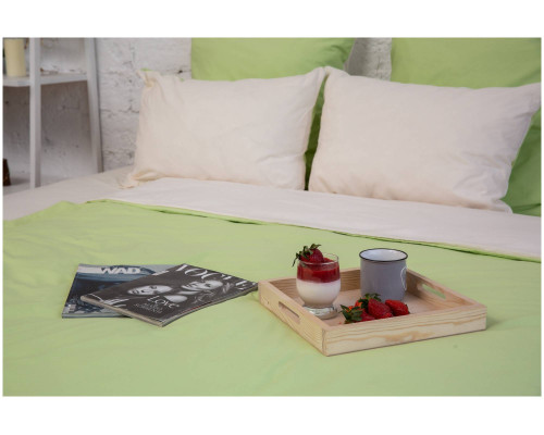 PANACOTTI 220x200 Color Line Mojito - Простыня на резинке