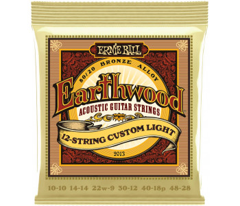 ERNIE BALL 2013 Earthwood 80/20 Bronze Custom Light 10-48 - Струны для акустической 12-струнной гитары