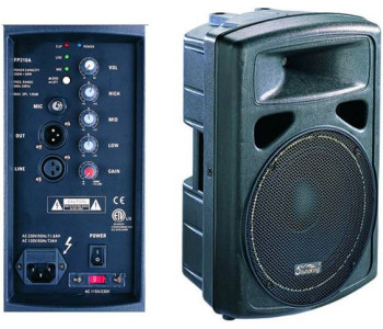 SOUNDKING FP0210A Активная акустическая система, 100Вт, Soundking