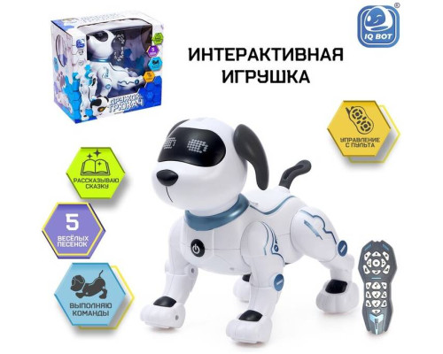 Робот 'Дружок-трюкач' звуковые эффекты, управление с пульта IQ BOT Робот 'Дружок-трюкач' звуковые эффекты, управление с пульта IQ BOT