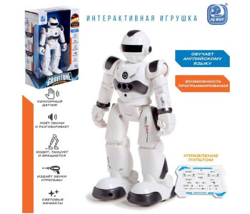 Робот 'BOT GRAVITONE, русское озвучивание' серый IQ BOT