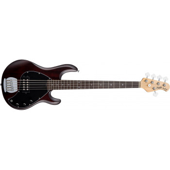 STERLING StingRay5 Walnut Satin - Бас-гитара 5 струн