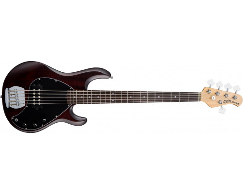 STERLING StingRay5 Walnut Satin - Бас-гитара 5 струн