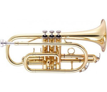 VERMONT JYCT407 - Корнет