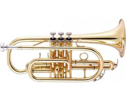 VERMONT JYCT407 - Корнет