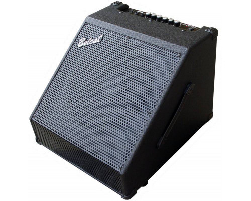 BELCAT DR-60 - Комбоусилитель для ударной установки