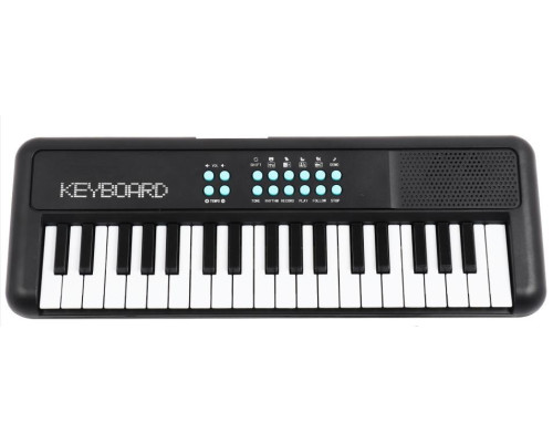 TERRIS TK-100 BK - Синтезатор TERRIS TK-100 BK - Синтезатор