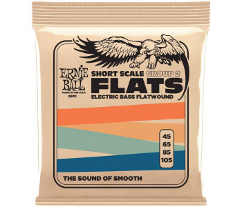 ERNIE BALL 2801 Flatwound Group 2 Short Scale 45-105 - Струны для бас-гитары