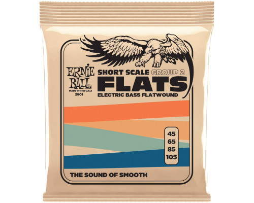 ERNIE BALL 2801 Flatwound Group 2 Short Scale 45-105 - Струны для бас-гитары