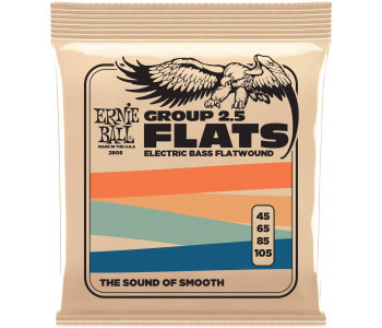 ERNIE BALL 2805 Flatwound Group 2.5 45-105 - Струны для бас-гитары