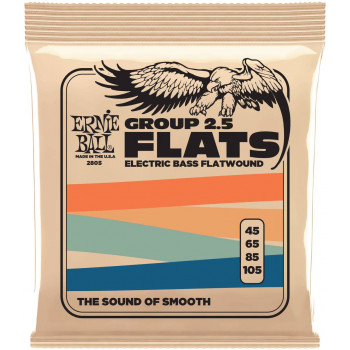 ERNIE BALL 2805 Flatwound Group 2.5 45-105 - Струны для бас-гитары