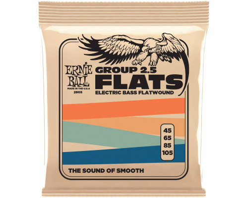 ERNIE BALL 2805 Flatwound Group 2.5 45-105 - Струны для бас-гитары