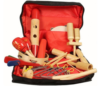 TERRIS PNS-17SC - Перкуссионный набор 17 предметов