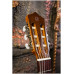 PEREZ 610 Cedar - Гитара классическая 4/4