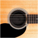 PLANET WAVES PW-SH-01 - Заглушка для розетки