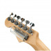 PLANET WAVES PWGS-D SM - Слайд