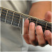PLANET WAVES PWGS-D SM - Слайд
