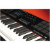 NEKTAR Panorama T4 USB MIDI DAW - MIDI-клавиатура