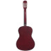 TERRIS TC-3801A NA - Гитара классическая 7/8