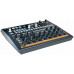 Arturia DrumBrute Impact - Аналоговый синтезатор ударных