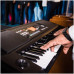 KORG EK-50 синтезатор с автоаккомпанементом 61 клавиша, полифония 64 голоса,...