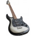 PEAVEY Raptor Custom SLB - Электрогитара
