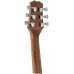 PEAVEY DW-2 CE Solid Top Cutaway w/Case - Гитара электроакустическая