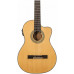 PEAVEY CNS-CE - Гитара электроакустическая