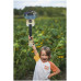 FLIGHT TUS-40 DANDELIONS - Укулеле сопрано FLIGHT TUS-40 DANDELIONS - Укулеле сопрано