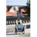 FLIGHT TUS-40 DANDELIONS - Укулеле сопрано FLIGHT TUS-40 DANDELIONS - Укулеле сопрано