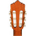 PEREZ 635 Ziricote - Гитара классическая 4/4