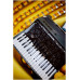 HOHNER Bravo my Color III 72 Twilight - Аккордеон 3/4