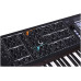ARTURIA PolyBrute Noir - синтезатор, 61 клавиша, 6 голосная полифония,...